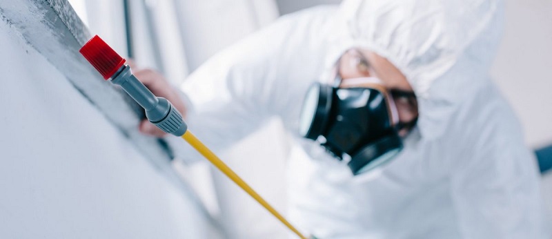 Criteria for choosing the ideal company for integrated pest control